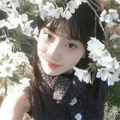寸草心